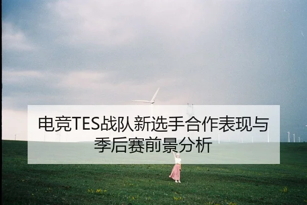 电竞TES战队新选手合作表现与季后赛前景分析